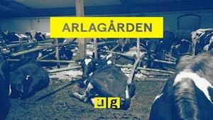 Fotograma del episodio 3: Episodio 3