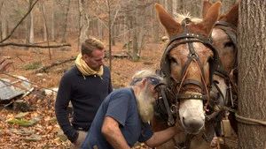 Fotograma del episodio 1: Episodio 1