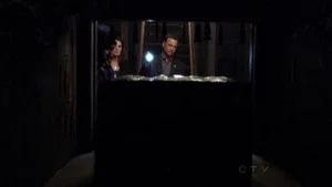 Fotograma del episodio 5: Episodio 5