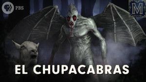 Fotograma del episodio 8: Episodio 8