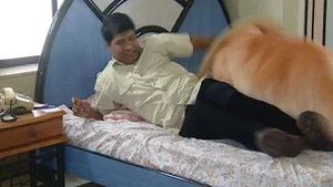 Fotograma del episodio 329: Episodio 329