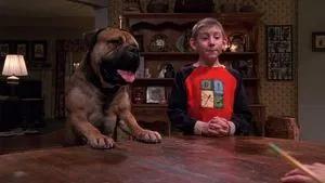 Fotograma del episodio 17: Dewey y su Perro