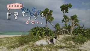Fotograma del episodio 16: Episodio 16
