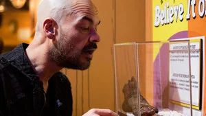 Fotograma del episodio 12: Episodio 12