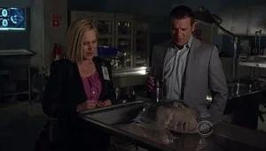 Fotograma del episodio 6: Episodio 6