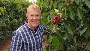 Fotograma del episodio 29: Episodio 29