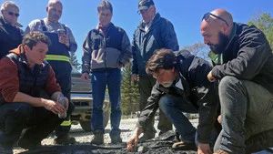 Fotograma del episodio 1: Episodio 1