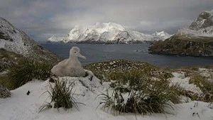 Fotograma del episodio 1: Episodio 1