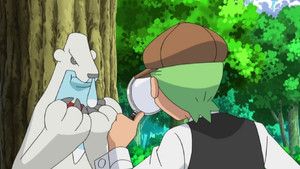 Fotograma del episodio 40: ¡El Misterio Del Cubchoo Perdido!