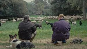 Fotograma del episodio 5: Episodio 5