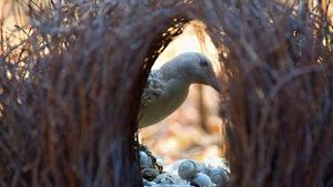 Fotograma del episodio 10: Episodio 10