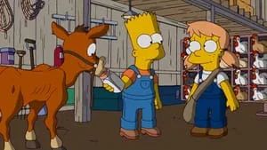 Fotograma del episodio 17: La vaca del apocalipsis
