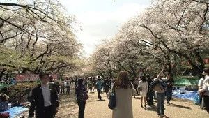 Fotograma del episodio 12: Episodio 12