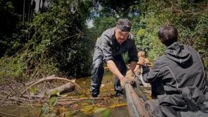 Fotograma del episodio 11: Episodio 11