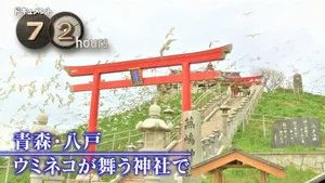 Fotograma del episodio 19: Episodio 19