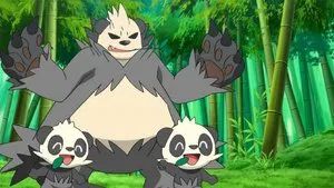 Fotograma del episodio 11: Perdido En El Bosque De Bambú