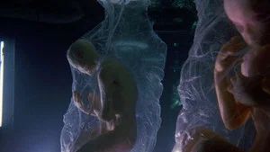 Fotograma del episodio 8: Episodio 8