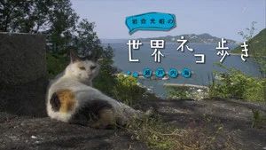 Fotograma del episodio 9: Episodio 9