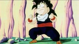 Fotograma del episodio 27: La furia de Gohan estalla