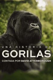 Una historia de gorilas contada por David Attenborough