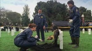 Fotograma del episodio 21: El soldado en la tumba