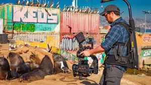 Fotograma del episodio 1: Episodio 1