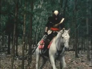 Fotograma del episodio 31: Episodio 31