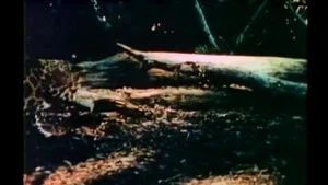 Fotograma del episodio 6: Episodio 6