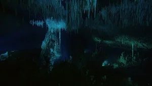 Fotograma del episodio 20: Episodio 20
