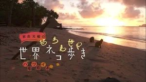 Fotograma del episodio 17: Episodio 17