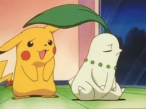 Fotograma del episodio 20: Los Celos De Chikorita