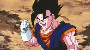 Fotograma del episodio 15: El orgullo de vegeta y la furia de Goku