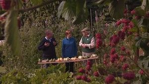 Fotograma del episodio 18: Episodio 18