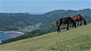 Fotograma del episodio 535: Episodio 535