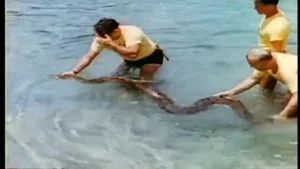 Fotograma del episodio 1: Episodio 1