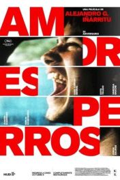 Amores perros
