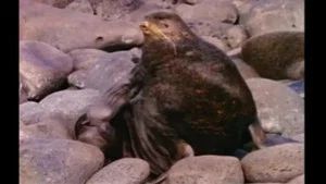 Fotograma del episodio 10: Episodio 10
