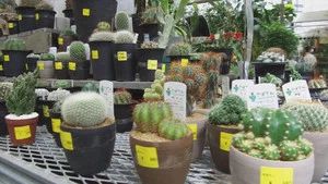 Fotograma del episodio 18: Episodio 18