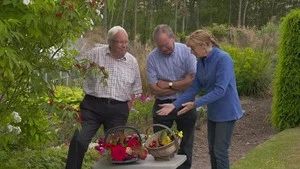 Fotograma del episodio 12: Episodio 12
