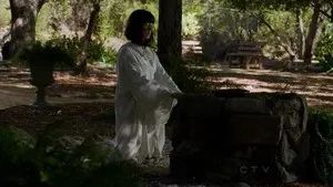 Fotograma del episodio 11: Perennes