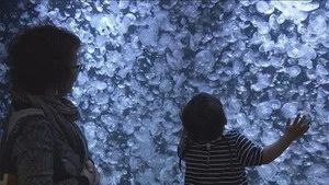 Fotograma del episodio 19: Episodio 19