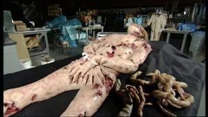 Fotograma del episodio 15: Episodio 15
