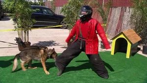 Fotograma del episodio 18: Episodio 18