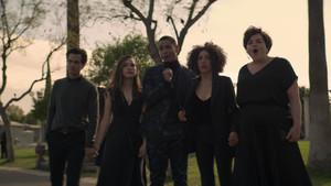 Fotograma del episodio 6: Adiós, mi conejito