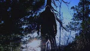 Fotograma del episodio 2: Episodio 2