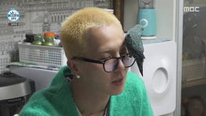 Fotograma del episodio 431: Episodio 431