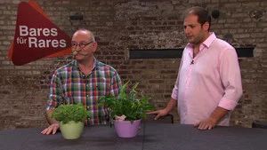 Fotograma del episodio 74: Episodio 74