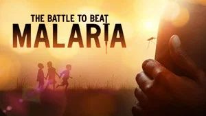 Fotograma del episodio 1: Episodio 1