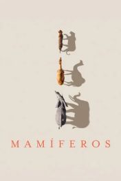 Mammals