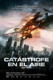 Catástrofe en el aire